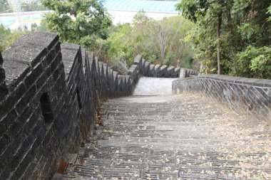Taştan bir merdiveni olan taş bir duvar. Duvar yosunla kaplı ve merdivenler yapraklarla kaplı.