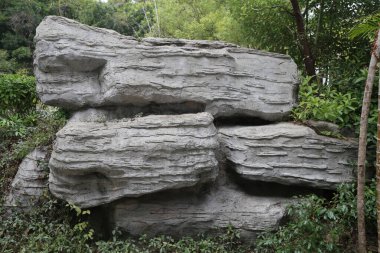 Üzerinde birkaç bitkinin büyüdüğü büyük bir kaya oluşumu. Bitkiler yeşil ve kayalar gri.