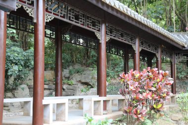 Bir bank ve ortasında bir bitki olan uzun bir yürüyüş yolu. Yedek kulübesi boş. Geçit ağaçlar ve kayalarla çevrili.