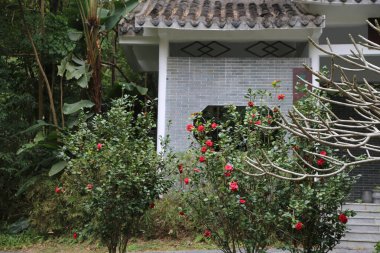 Beyaz çatılı ve tuğladan duvarı olan bir ev. Ev kırmızı çiçekli bir bahçeyle çevrilidir.