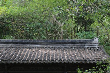 Eski bir Çin binasının çatısı fayanslarla kaplıdır. Arka planda yemyeşil bitkiler ve ağaçlar var. Çatıda tünemiş tek bir balıkçıl var..