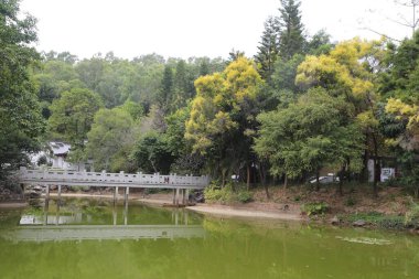 Arka planda ağaçlar olan bir köprü. Gölet yeşil ve ağaçlar yapraklı.