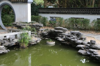 Etrafında taş bir duvar olan küçük bir gölet. Gölet yeşildir ve içinde küçük bir bitki vardır.