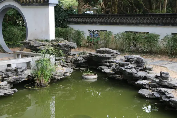 Etrafında taş bir duvar olan küçük bir gölet. Gölet yeşildir ve içinde küçük bir bitki vardır.