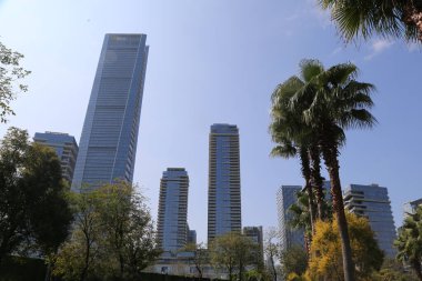 Ortasında yüksek bir bina olan bir şehir silueti. Gökyüzü açık ve mavi. Palmiye ağaçları yeşil ve uzundur