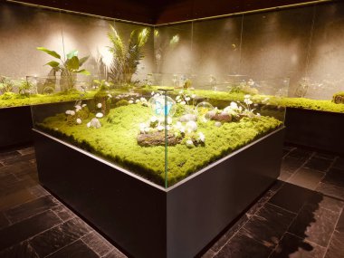 İçinde bitkiler ve küçük mavi bir nesne bulunan cam bir vitrin bulunan küçük bir oda. Bitkiler, derinlik ve ilgi uyandıran bir şekilde sıralanmış.