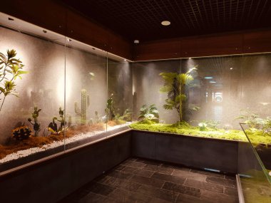 Büyük bir akvaryumu ve köşesinde küçük bir bitkisi olan bir oda. Akvaryum su ve bitkilerle dolu ve bitkiler köşede yetişiyor. Odanın modern ve sofistike bir havası var.
