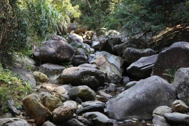 Doğanın ortasında kayalar ve kayalar, içinden su akan açık bir derenin yanında. Taşlar birbiri üzerine yatar, yürümek ya da koşmak için aralarına küçük yollar açar..