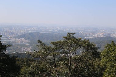 Önünde bir ağaç olan bir şehrin ufuk çizgisi uzaktan görülebilir. Gökyüzü açık ve manzara nefes kesici.