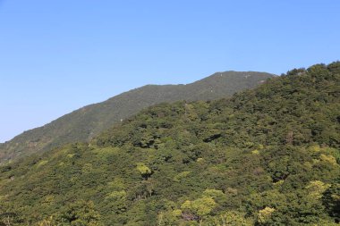 Yoğun yeşil ormanları olan bir dağ sırası, açık mavi gökyüzünün altındaki başka bir tepenin tepesinden görülüyor. Dağ tam görünümde ve pürüzsüz yamaçlara sahiptir. Üzerinde ne bir ipucu ne de insan olduğuna dair bir işaret var..