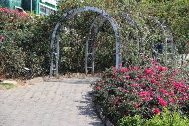 Bahçe, ortasında kemerli çelik kemer ile, gül çalıları ve diğer çiçekler ile çevrilidir. Zemin çeşitli renklerde açık gri geçitlere sahiptir.