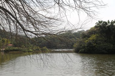 Su yüzeyinin uzak manzarası sakin, üzerinde ağaçlar ve dallar asılı. Önünüzde, bir köşede bir Kızılderili parkı görebilirsiniz. Nehir onların arasından akar..
