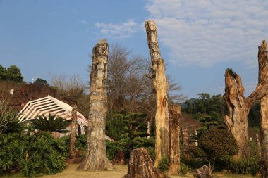 Eski bir Çin tarzı villanın açık hava parkında önünde yaprakları olmayan uzun, ince ve ölü ağaçlar var. Sandıklar, sütunlar ya da totemler gibi eşsiz şekillerde oyulmuştur.