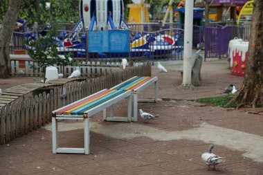 Gökkuşağı renklerine boyanmış ahşap çatallı beyaz bir bank, yakınlardaki diğer banklar ve güvercinlerle çevrili bir eğlence parkının tuğla zemininde yer almaktadır. Önünde, yanında duran tahta bir çit var..