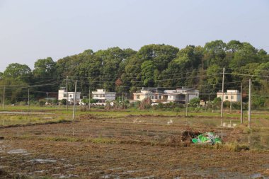 Uzakta, beyaz duvarları ve kırmızı fayansları olan birkaç evin önünde sonsuz bir pirinç tarlası var. Bu binaları uzaktan birbirine bağlayan birçok kablo vardı..