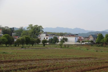 İçinde birkaç ağaç olan bir toprak tarlası. Ağaçlar yeşil ve her yere dağılmış.