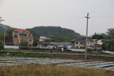 Uzakta, üzerinde beyaz duvarlar ve kırmızı fayanslar olan Çin mimarisi tarzında eski bir ev var. Bu evlerin önünde kahverengi fidelerin yetiştiği pirinç tarlalarını görebilirsiniz..