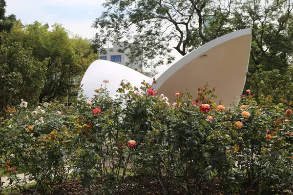 Eğri beyaz bina bahçede açan çeşitli renklerde güllerle çevrili gül çalılarıyla çevrilidir. Çiçeklerin hassas taç yaprakları ve manzaraya güzellik katan canlı renkleri vardır..