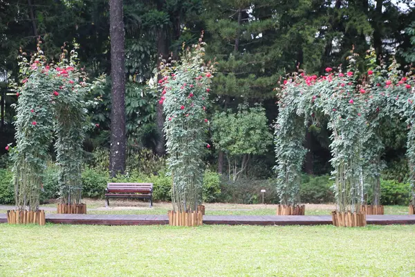 Parktaki çiçek standı, üzerinde kırmızı güller ve yanında ahşap banklar bulunan bambu çelenklerle çevrilidir. Her çardağın önünde düğün fotoğrafçılığı için boş bir sahne duruyor..