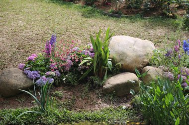 Küçük bahçe ön bahçenin ortasında yer almaktadır, her iki tarafında mor ve pembe çiçekler büyümektedir. Etrafında yeşil otlarla çevrili birkaç büyük kaya vardı..