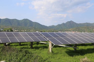 Yeşil alanda, ahşap destek yapılarının üzerinde sıra sıra dizilmiş güneş panelleri olan açık bir alan var. Önlerinde ve arkalarında yemyeşil bitki örtüsüyle kaplanmış çimenli bir zemin var..