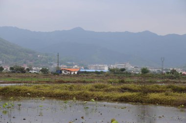 Uzakta, dağ ormanlarının önünde pirinç tarlaları ve evlerle çevrili bir sanayi parkı var. Yakın mesafede, yolun her iki tarafında da su zambaklarıyla kaplı küçük göller görebilirsiniz..