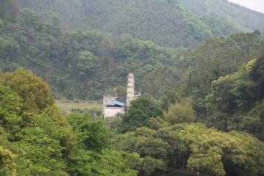 Mavi çatılı uzun ve ince beyaz tapınak kulesi yemyeşil orman tepelerinin ortasında duruyor. Uzaktan görülebiliyor. Ön planda uzun bir elektrik hattı var..