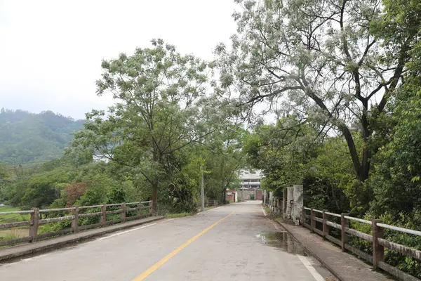 Okula giden bir yol, her iki tarafında ağaçlar ve üzerinde eski ahşap bir köprü var. Gökyüzü kasvetli, çevrede yeşil bitkiler var.