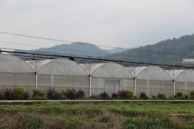 Büyük beyaz plastik örtüleri ve metal yapıları olan bir dizi sera. Arka planda bereketli dağlık arazi var..