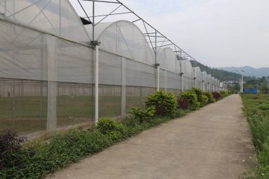 Duvarlarında beyaz, şeffaf polikarbonat olan seralar, seraların önüne dikilmiş tek sıra küçük ağaçlar ve tabanında çalılıklar. Çiftlik alanının bir tarafında asfalt bir yol var.