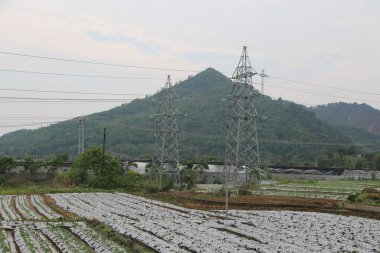 Güney Çin 'de açık bir sebze tarlasının kenarında duran iki yüksek voltajlı kule. Etrafında yeşil bitkiler ve arkasında bir dağ var..