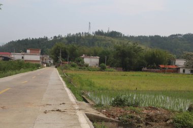Uzakta, Çin 'in kırsal kesimlerinde yüksek dağları ve ilkbaharda ormanlık alanları olan her iki taraftaki birçok evin önünde ve pirinç tarlalarının arkasında boş bir yol var..