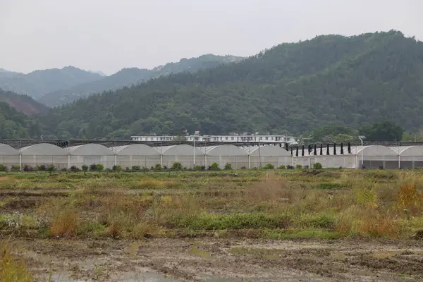 Arka planda bina olan bir alan. Bina beyaz. Saha kuru. Sahada hiç insan yok.