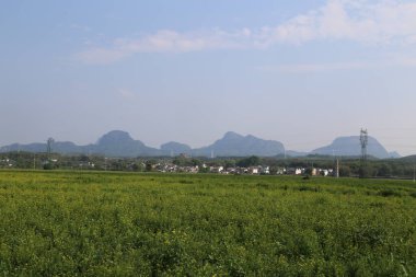 Uzakta, ufukta dağ zirveleri görünen sonsuz yeşil bir kolza tohumu tarlası var. Önünde beyaz duvarlar ve siyah fayanslarla çevrili birkaç küçük köy duruyor..