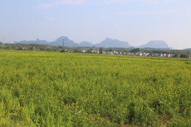 Uzakta, Güney Çin 'de yüksek dağlar ve arkasında köyler olan bitmeyen yeşil bir kolza tohumu tarlası var. Fotoğraf trenin penceresinden çekilmiş..