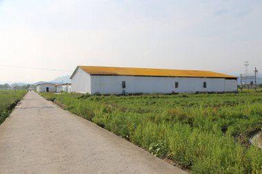 Sarı çatılı beyaz dikdörtgen bir depo, önündeki yolun yanında pirinç tarlalarıyla çevrili açık yeşil bir alan, bir tarafta başka küçük bir bina var, uzaktan çekilmiş perspektif.