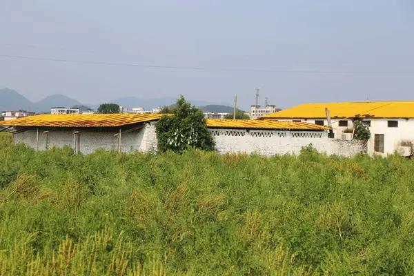 Baharın yeşil çimlerinde, Çin 'in kırsal bölgelerinde ve köylerinde çatısında sarı fayanslı eski bir beyaz tuğla ev var. Duvarların etrafında büyüyen bitkiler var..