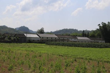 Bir yaz günü Çin 'in kırsal kesimlerinde, her iki taraftaki dağlarda yeşil tarlalar ve uzun mısırlarla çevrili, beyaz duvarları ve gri fayansları olan bir grup basit Çin çiftlik evi.