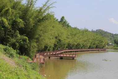 Parkın göl alanı, her iki tarafı birbirine bağlayan ahşap köprüler ve onlara giden dolambaçlı yollar ile yoğun bambu ormanlarıyla çevrilidir. Kıyıda balık tutan ya da yürüyen insanlar var.
