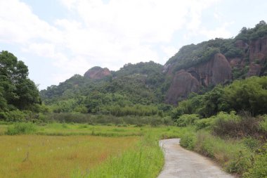 Bir çim tarlasından geçen bir patika. Çimler yeşil ve gökyüzü bulutlu. Arka planda ağaçlar var.