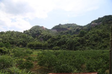 Dağdaki yeşil orman, yüksek dağlar görünüyor ve teras tarlaları ayak seviyesinde. Önünde bir portakal bahçesi var. İki tarafta da çiftlik binaları için doğal çit oluşturan kırmızı tuğlalar var..