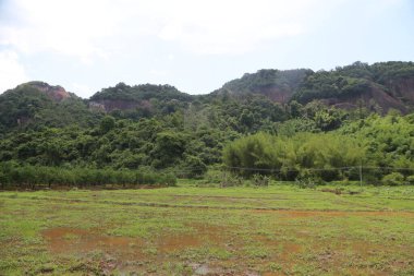 Arka planda ağaçlar ve kırmızı uçurumlar olan yeşil bir alan, yağmurdan sonra kurumuş kahverengi topraklarla kaplı. Önünde otların yetiştiği açık bir alan var..