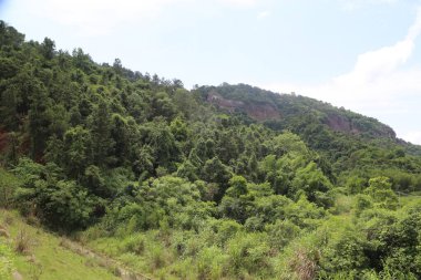 Yoğun yeşil bir ormanla kaplı yamaçtan kırmızı kaya ve mavi gökyüzünü gösteren bir manzara. Manzara doğal güzelliğini artıran yemyeşil bitki örtüsüyle çevrilidir..