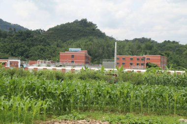 Mısır tarlasında, her iki tarafında kırmızı tuğla binalar ve yeşil bitki örtüsü olan bir sanayi parkı var. İnşaat kompleksi arasında depolama, sanayi evleri, su arıtma tesisleri, beyaz çiftlik evi tarzı fabrika blokları ve diğer yapılar yer alıyor.