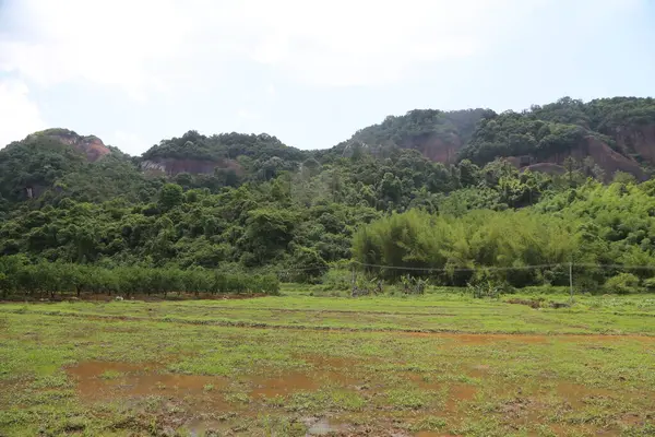 Arka planda ağaçlar ve kırmızı uçurumlar olan yeşil bir alan, yağmurdan sonra kurumuş kahverengi topraklarla kaplı. Önünde otların yetiştiği açık bir alan var..