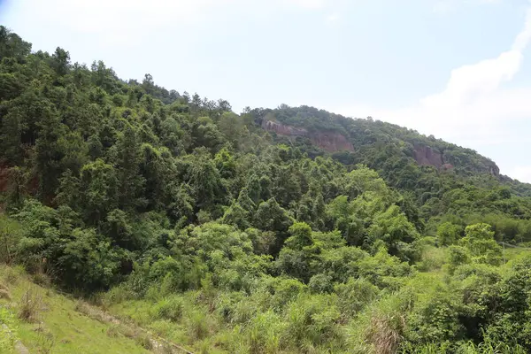 Yoğun yeşil bir ormanla kaplı yamaçtan kırmızı kaya ve mavi gökyüzünü gösteren bir manzara. Manzara doğal güzelliğini artıran yemyeşil bitki örtüsüyle çevrilidir..