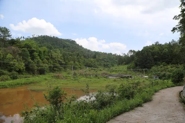 Etrafı yeşil bitki örtüsüyle çevrili küçük bir balık havuzu, asfalt bir yoldan yukarı uzanan patikanın yanında, her iki taraftaki dağınık ev ve binaların önünde, sık ormanlarla kaplı alçak tepelerle çevrili..