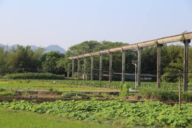 Kırsal kesimde yeşil pirinç tarlaları ve sebze ekinleriyle çevrili çok uzun çelik rampalar. Önünde eski bir tren yolu köprüsü var..