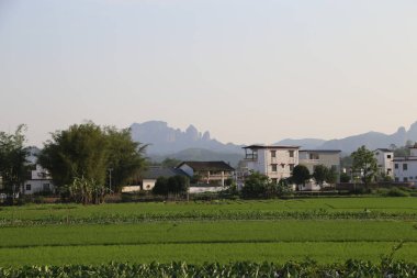 Uzakta, önünde pirinç tarlaları ve yeşil ağaçlarla çevrili eski bir Çin tarzı beyaz bina var. Yakınlarda, birçok modern bina yan yana duruyor. Arka planda görülebilir zirveleri olan dalgalanan dağlar yer alıyor