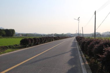 Asfalt yüzeyi olan düz bir yol, yeşil pirinç tarlaları ve güney Çin 'in kırsal kesiminde sokağın her iki tarafında mor çalılıklar var. Gökyüzü bulutsuz berrak mavi.